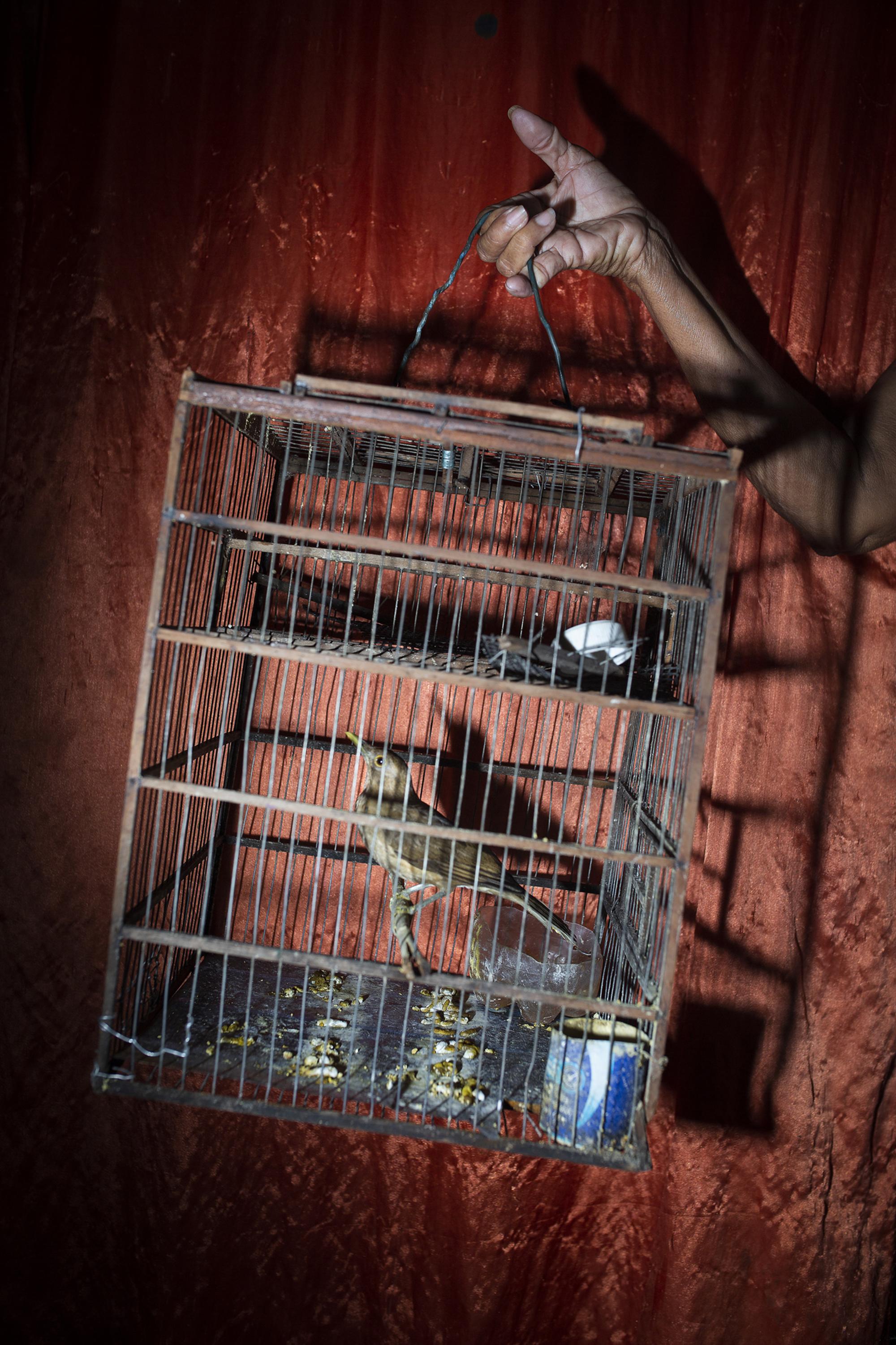 Desterradas Colombia - 2